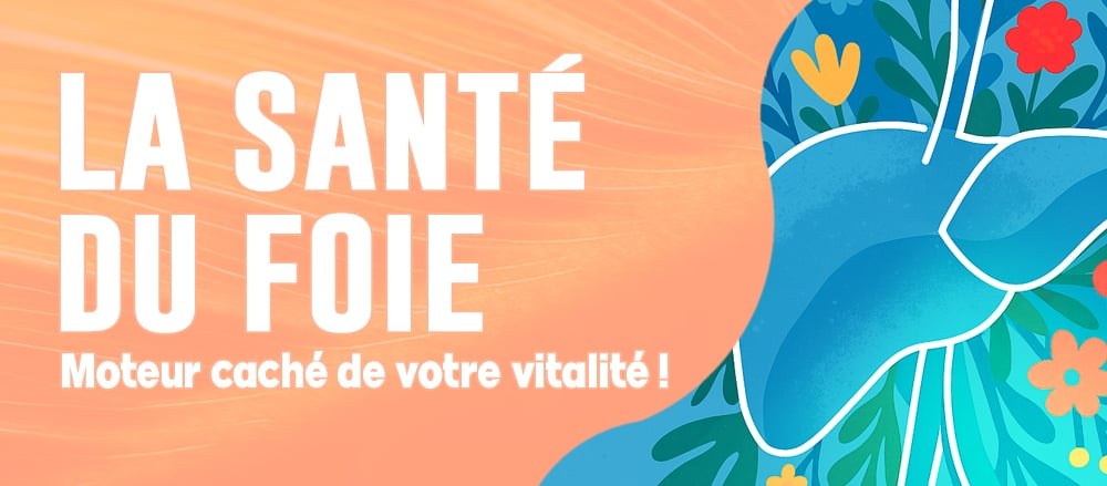 Bannière du parcours Un foie en santé