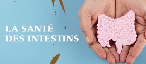 Bannière du parcours La santé des intestins